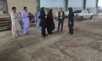 تقدیر مدیر کل محیط زیست سیستان و بلوچستان از دانشگاه علوم پزشکی زاهدان به دلیل ارتقای شاخص‌های زیست‌محیطی